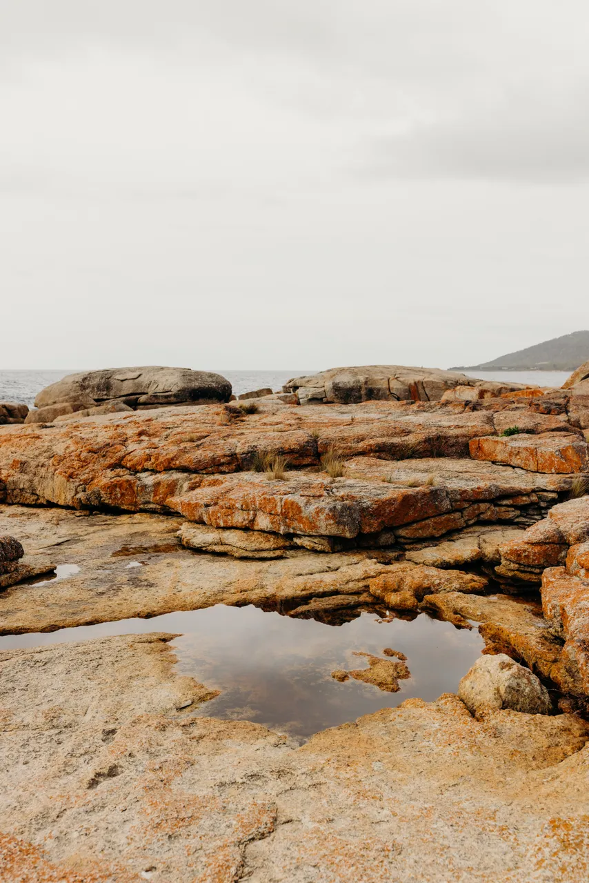 Bicheno Coastline