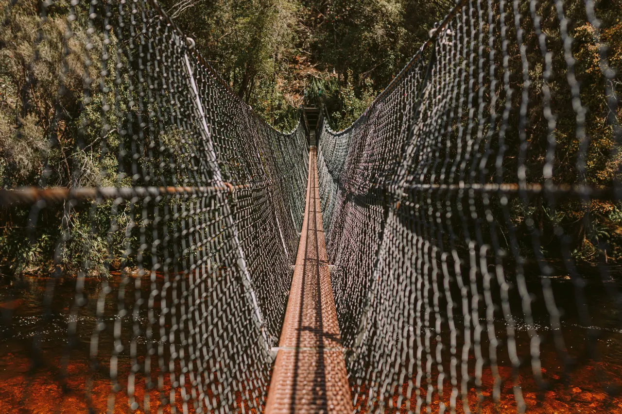 Frenchmans Cap Suspension Bridge