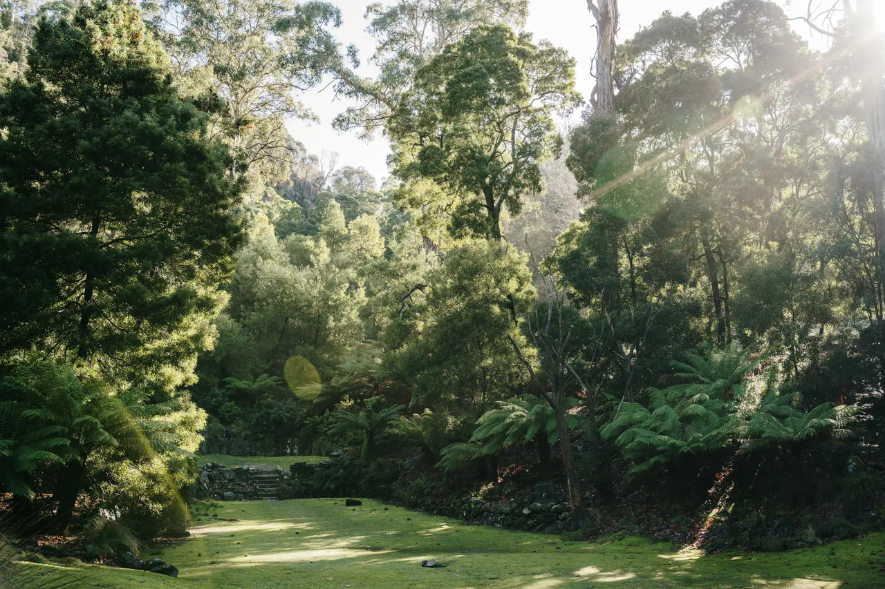Cataract Gorge Reserve