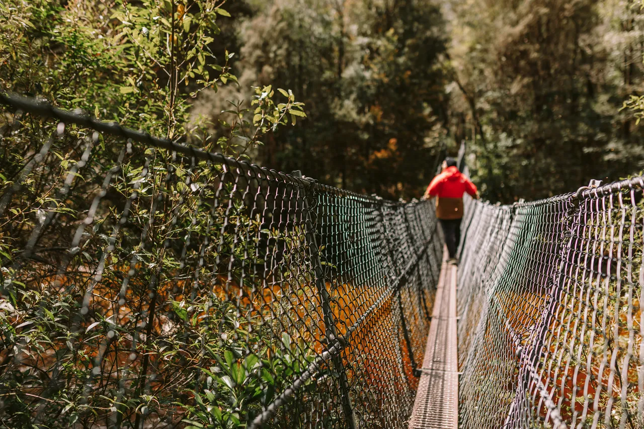 Frenchmans Cap Suspension Bridge Details