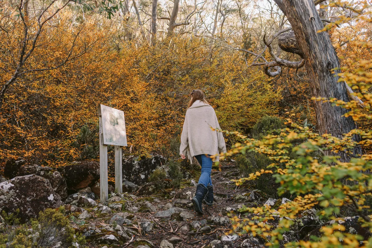 Mount Field Person Walking on Track