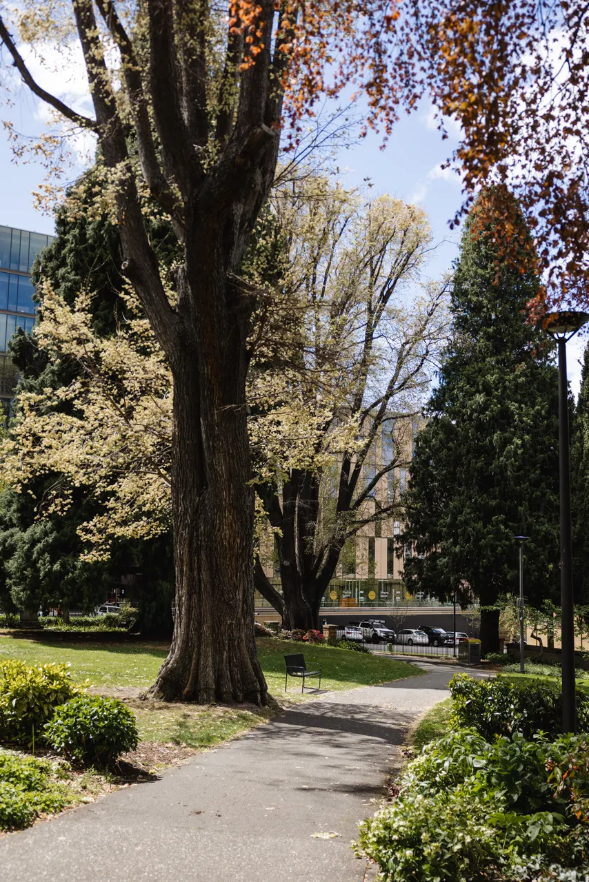St David's Park in Spring