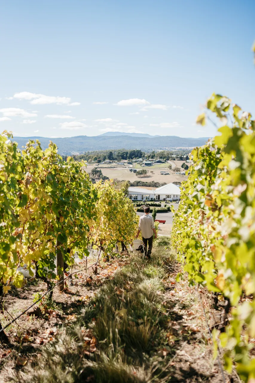 Evenfall Winery