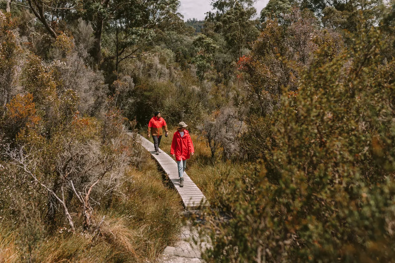 Frenchmans Cap Track