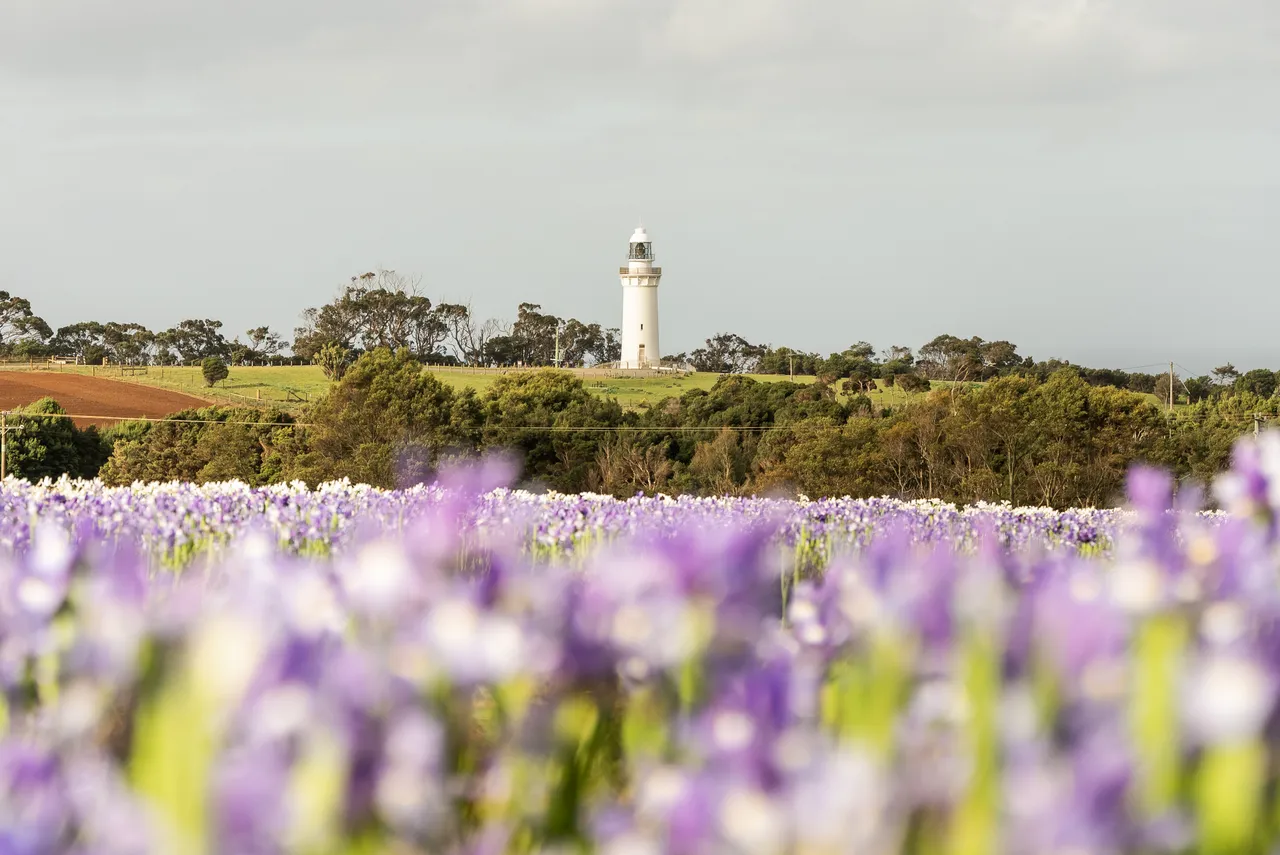 Table Cape Lighthouse