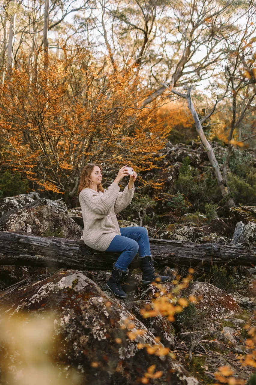Woman Sitting Among Fagus