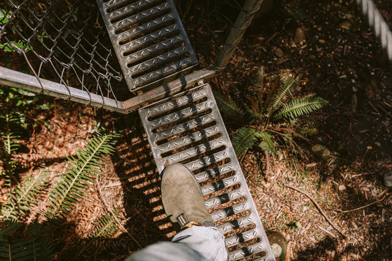 Frenchmans Cap Suspension Bridge Details