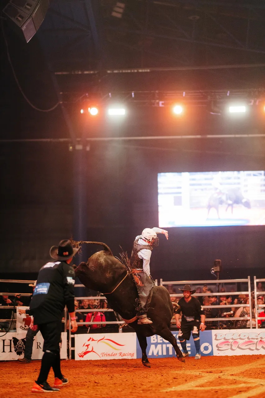 Bull Riding at the Island Stampede Rodeo