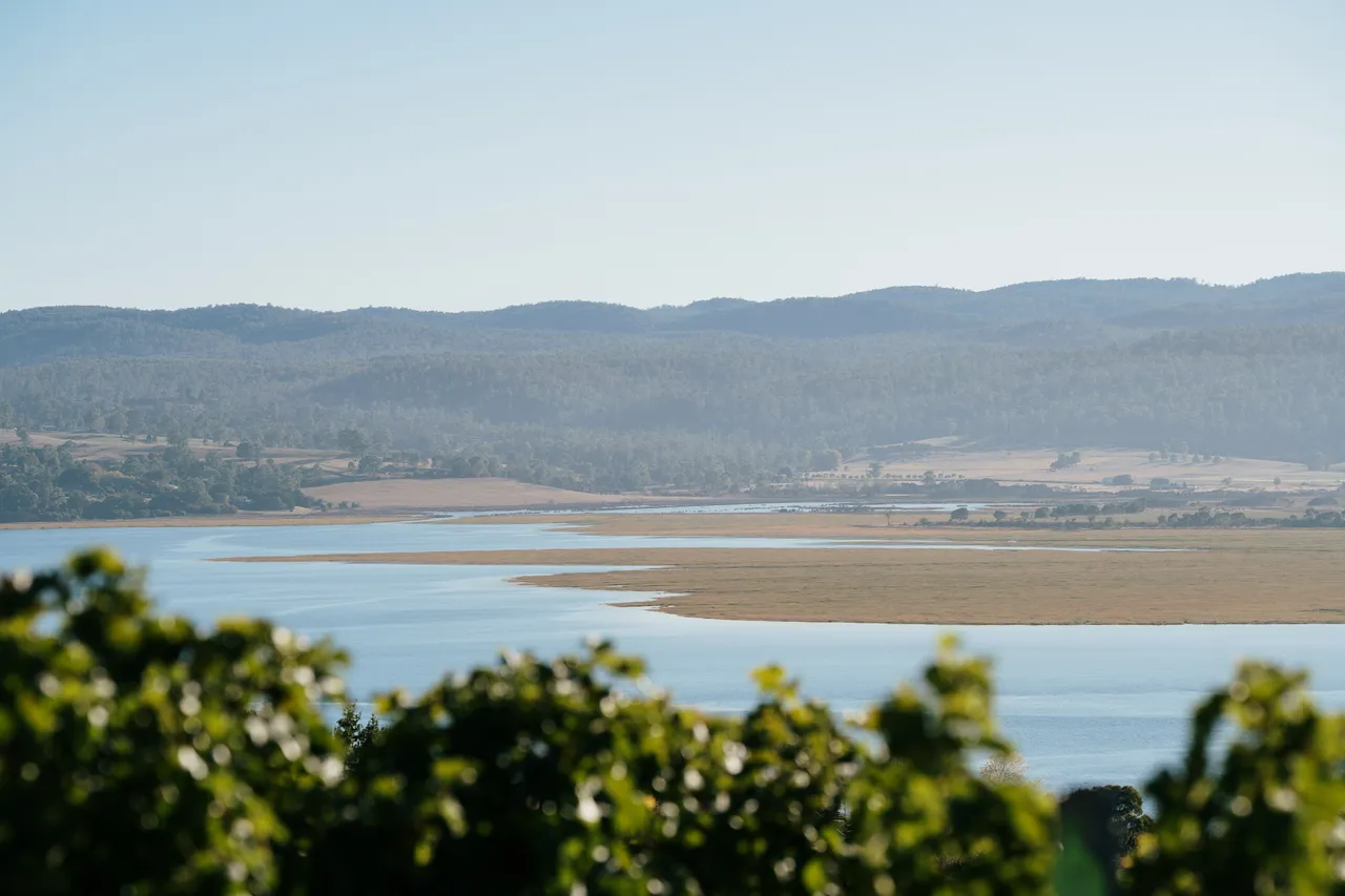 View From Utzinger Wines