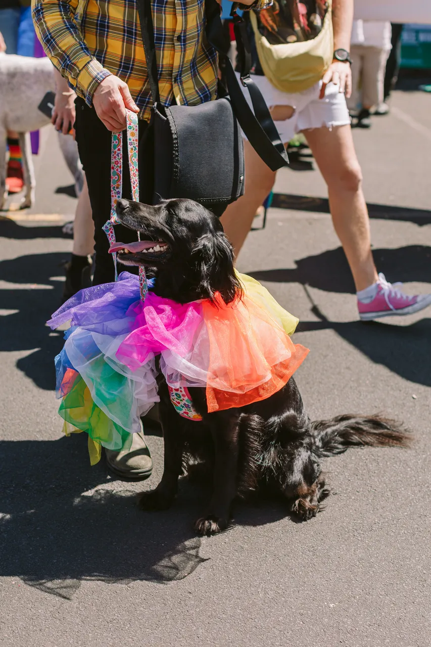 Tas Pride Parade