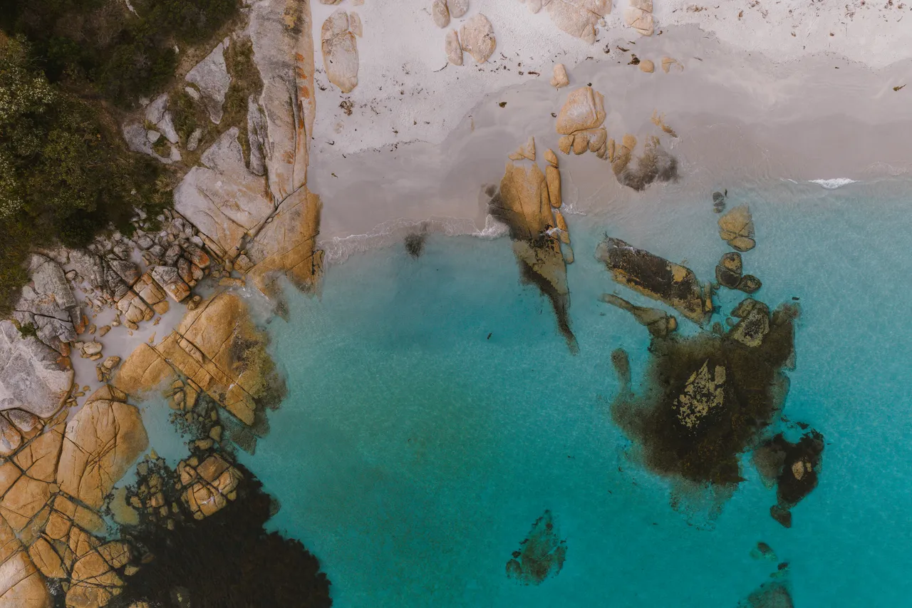 Waubs Beach Bicheno Aerial