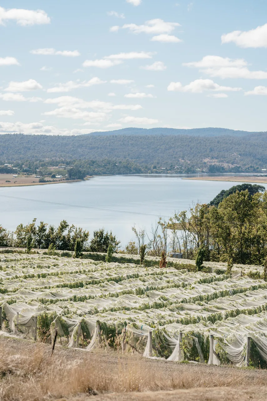 Evenfall Winery