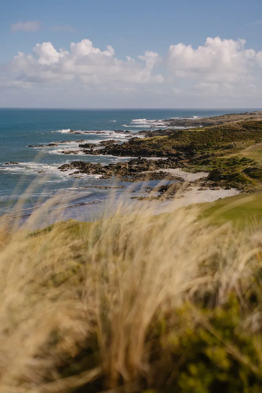 Cape Wickham 