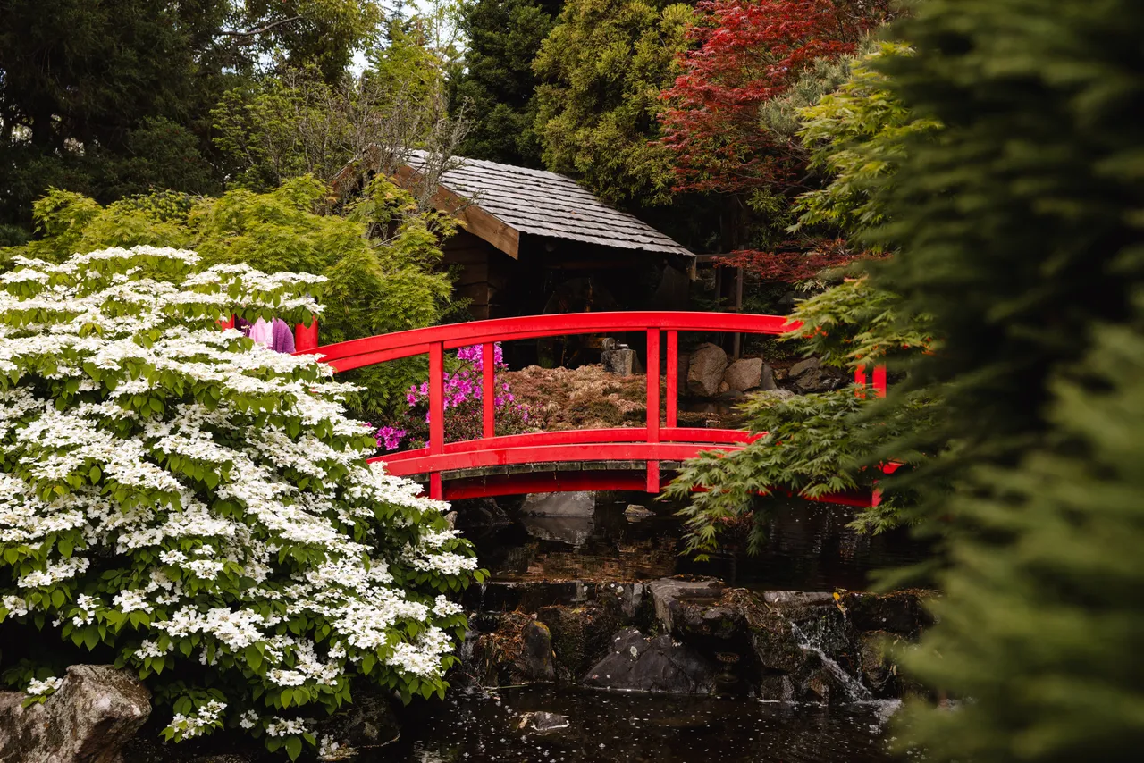 Japanese Garden at the Royal Tasmanian Botanical Gardens