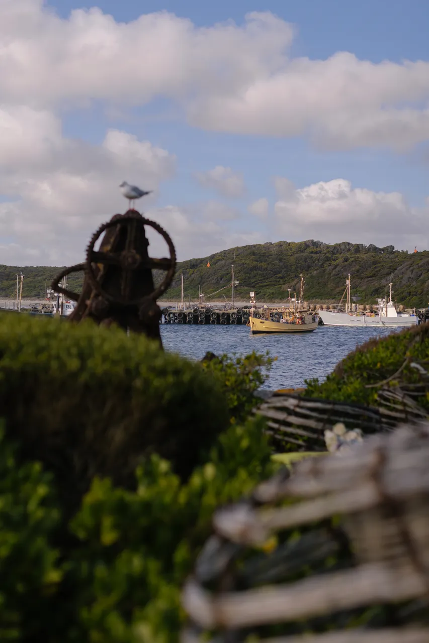 Currie Harbour