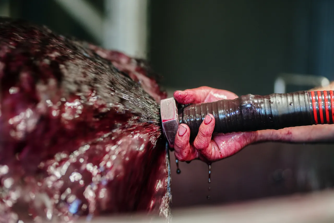 Transferring Wine at Utzinger