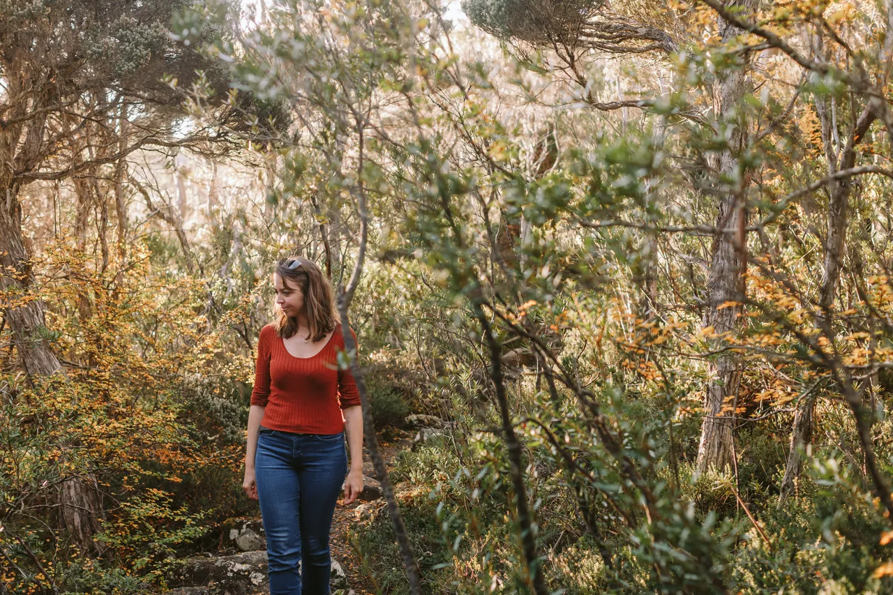Person Walking Through Fagus