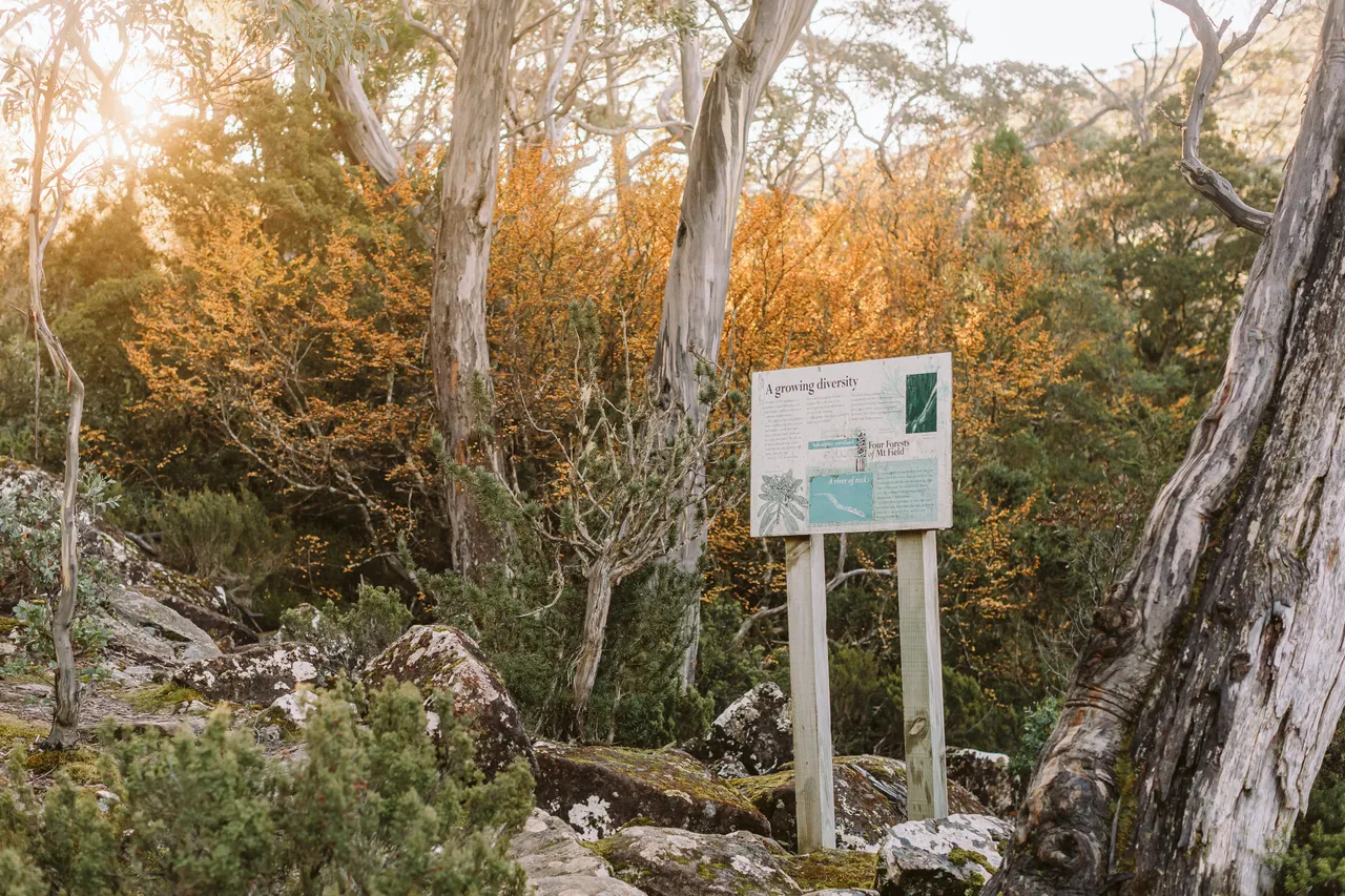 Mount Field Signage