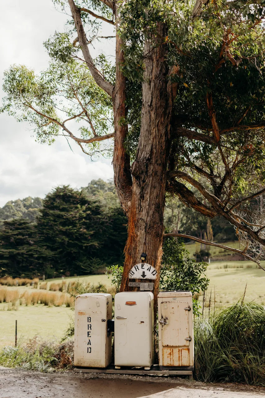 Bread Fridge Bruny Island