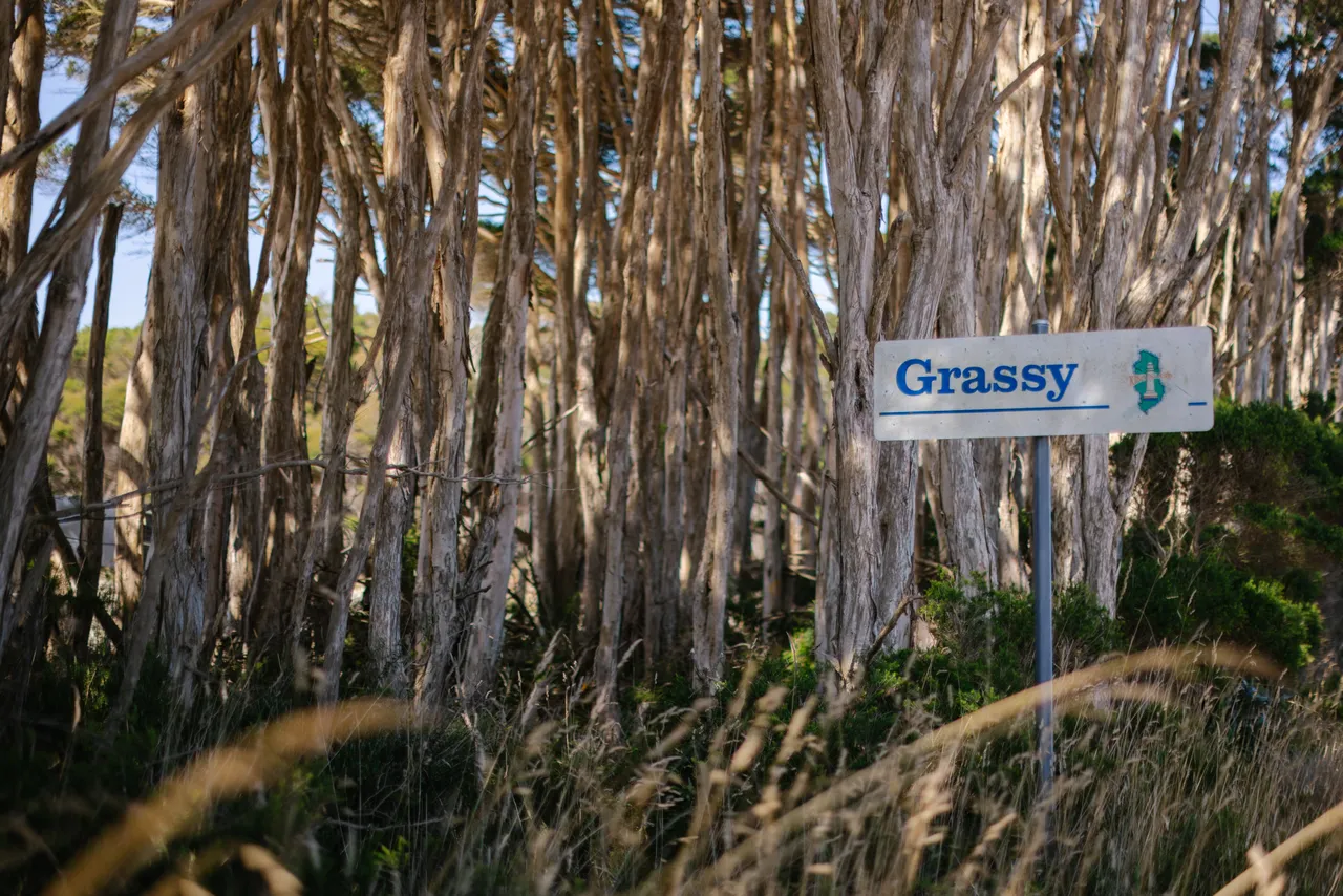 Grassy Sign
