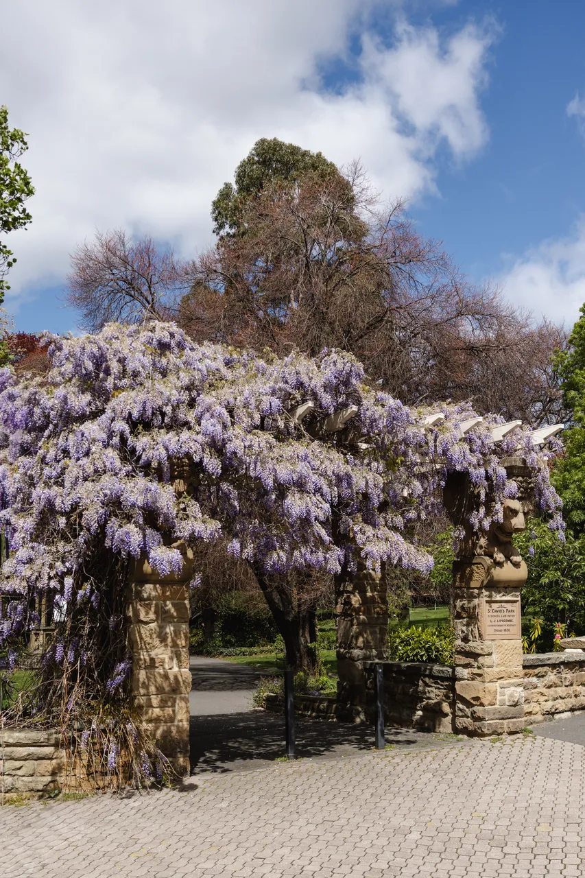 St David's Park in Spring