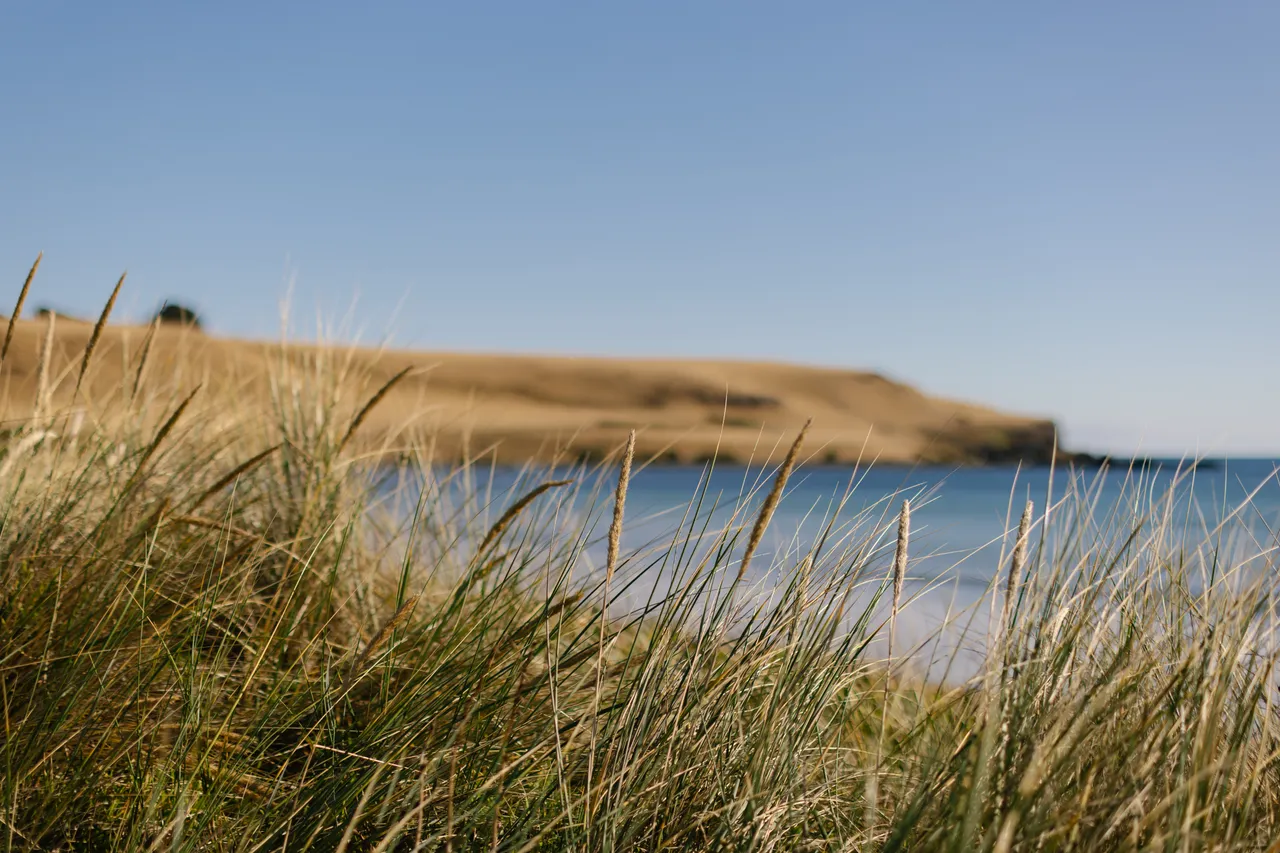 Godfreys Beach