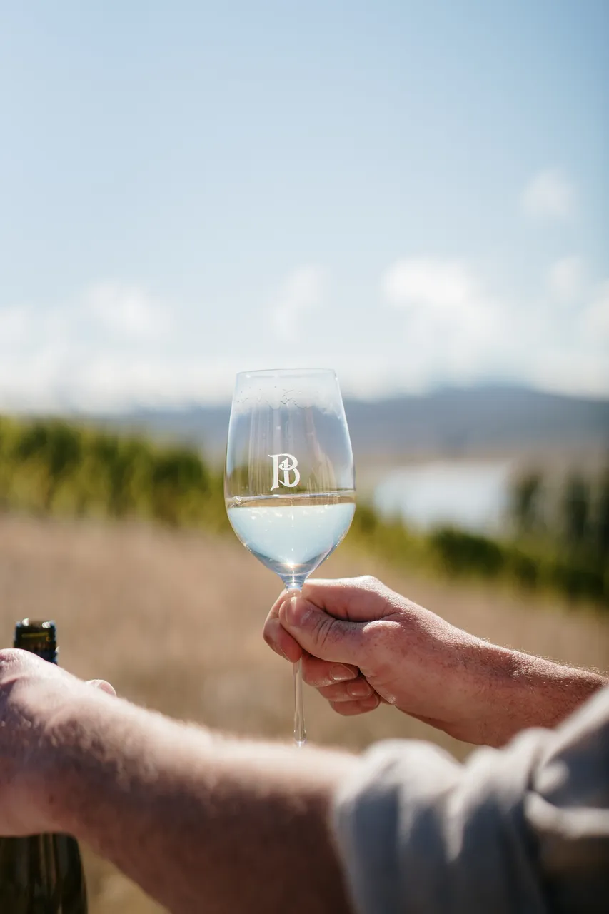 Wellington and Wolfe Wine