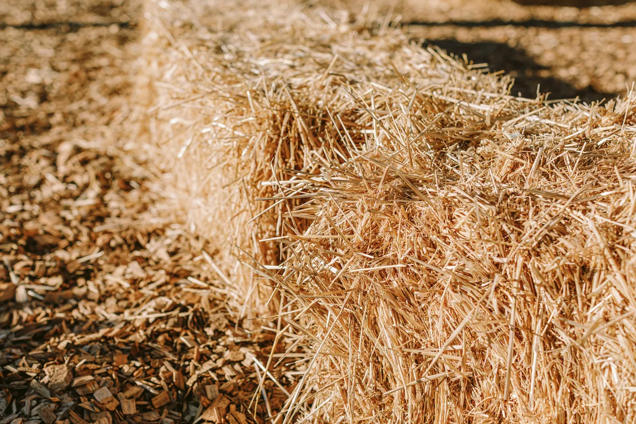 Hay Bales