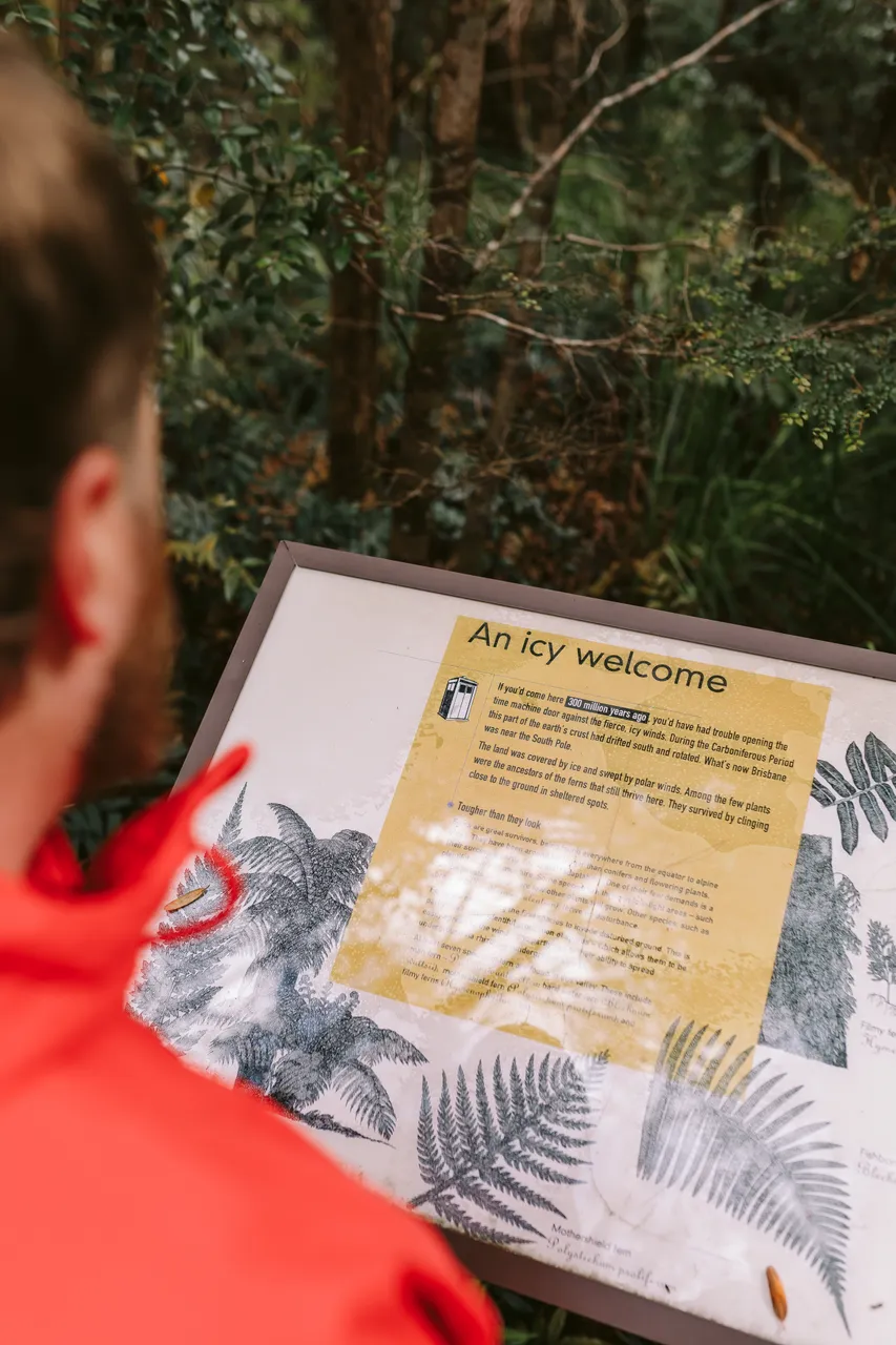 Nelson Falls Track Signage