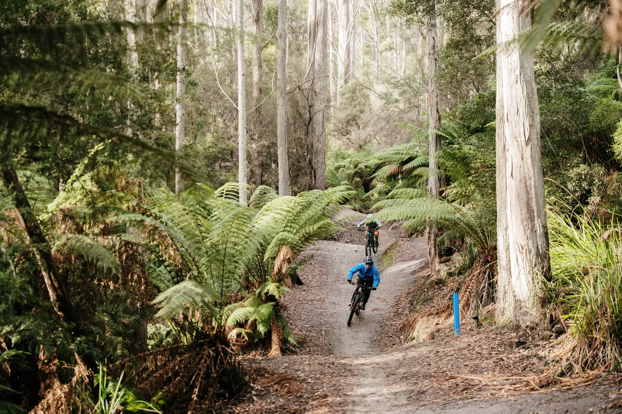 Mountain Biking in Derby