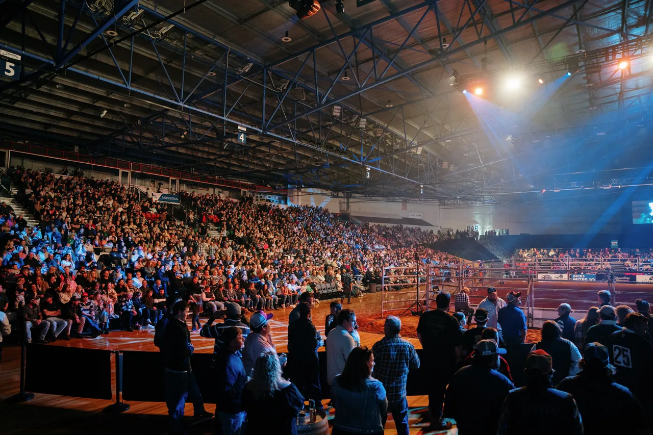 Crowd at the Island Stampede Rodeo