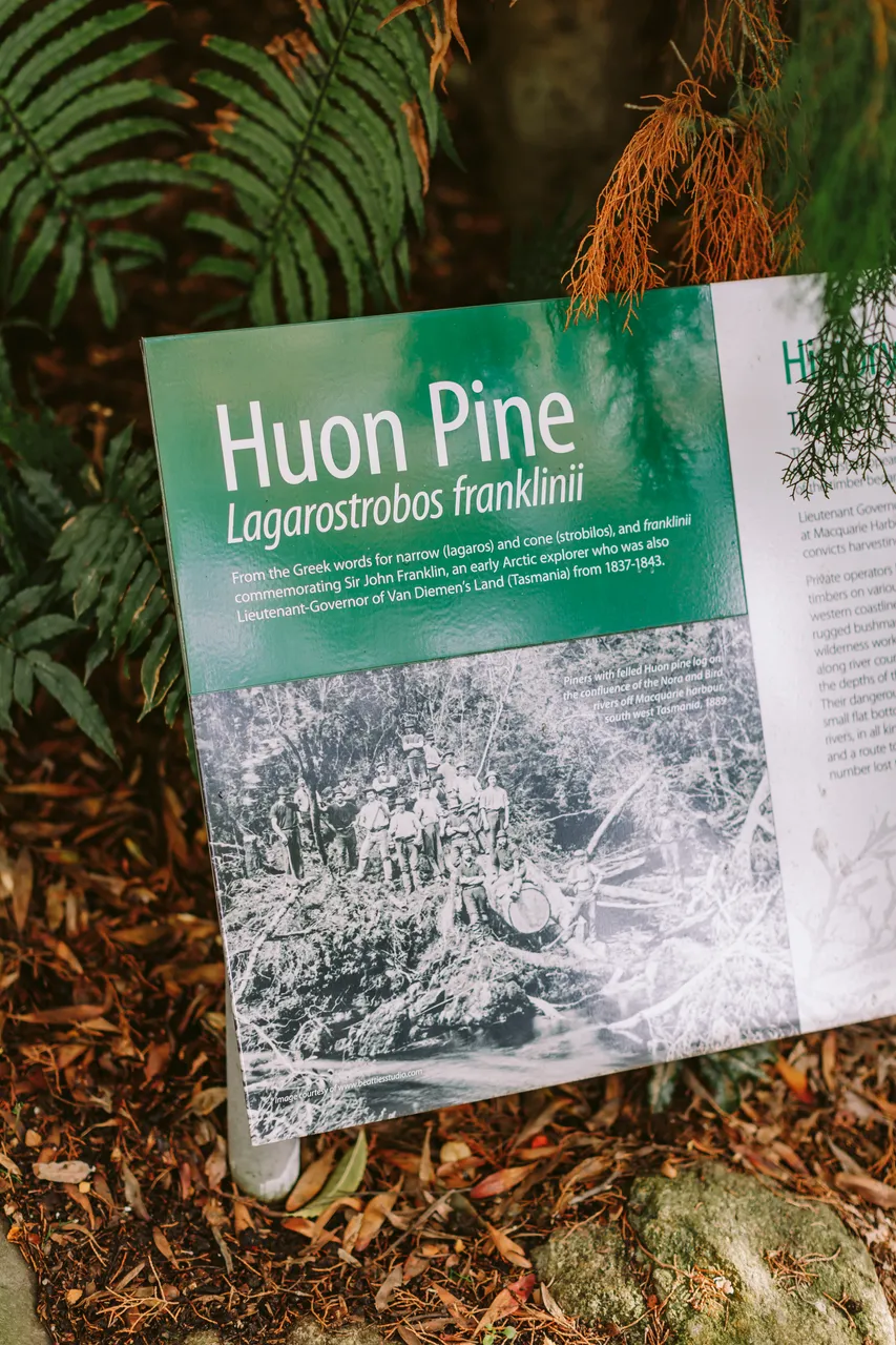 Signage at the Royal Tasmanian Botanical Gardens