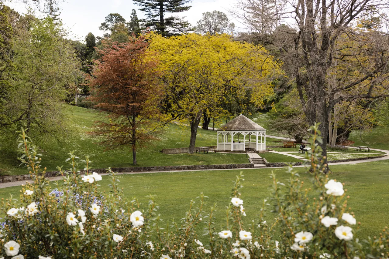 Royal Tasmanian Botanical Gardens