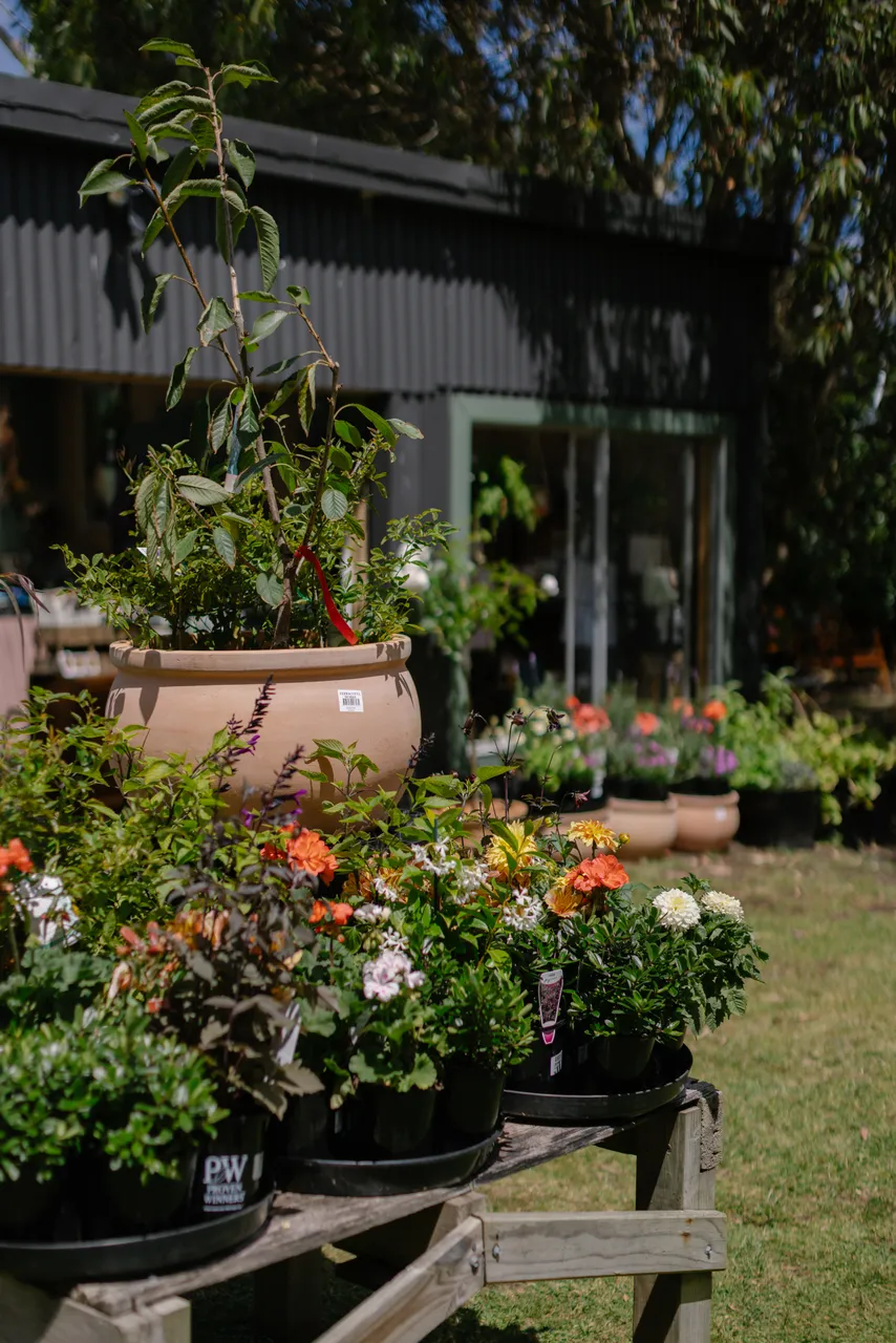 The Nursery and Florist King Island