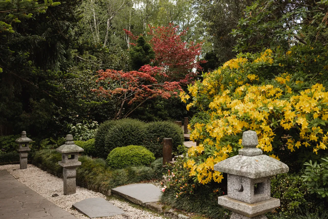 Japanese Garden at the Royal Tasmanian Botanical Gardens