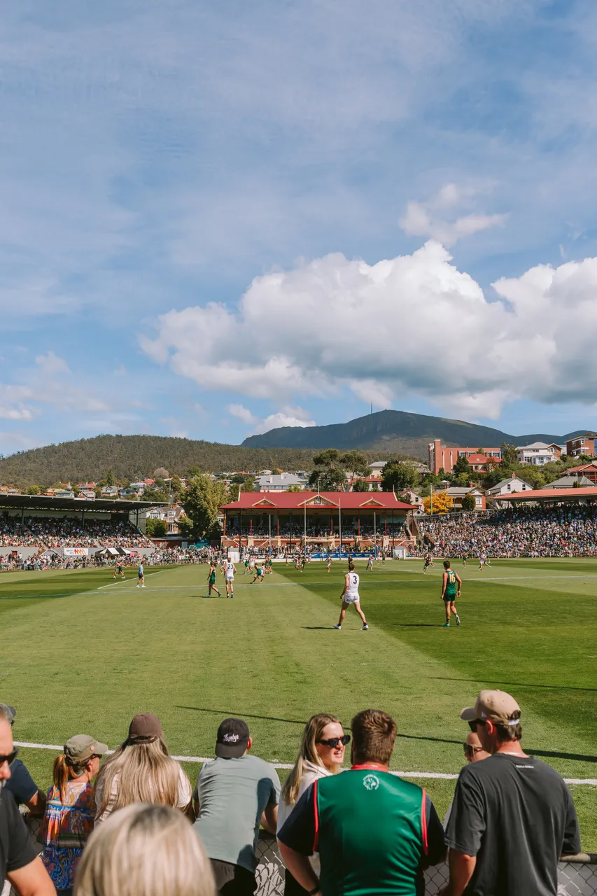 Tasmania Devils Game