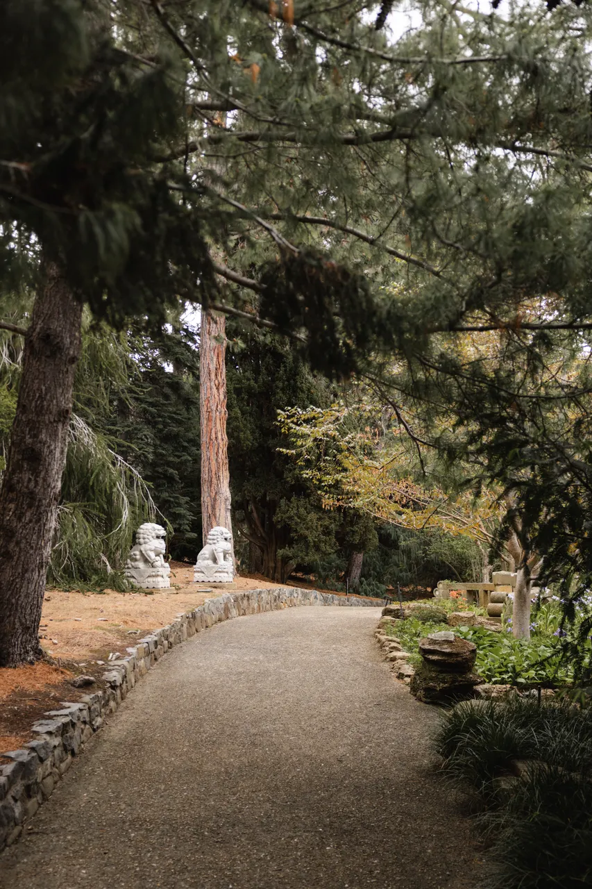 Royal Tasmanian Botanical Gardens
