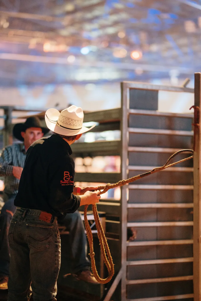 Bull Rider at the Island Stampede Rodeo