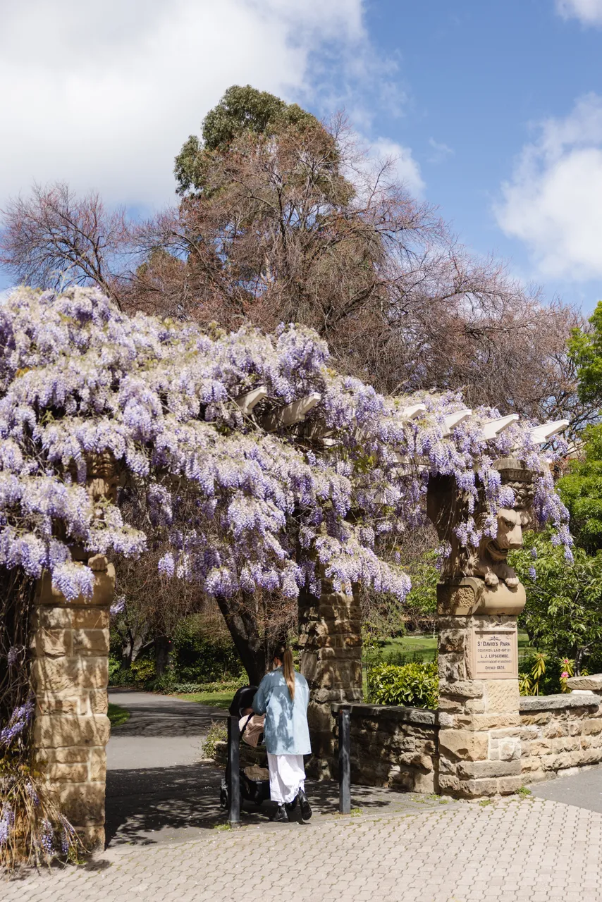 St David's Park in Spring