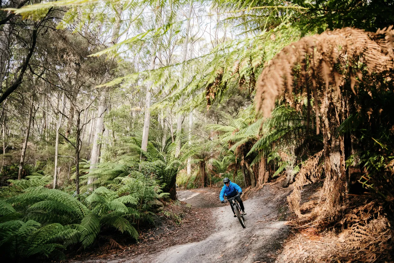 Mountain Biking in Derby