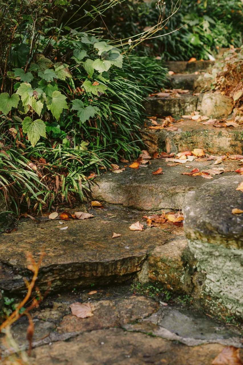 Stone Steps at the Royal Tasmanian Botanical Gardens