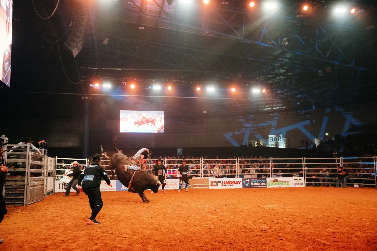 Bull Riding at the Island Stampede Rodeo