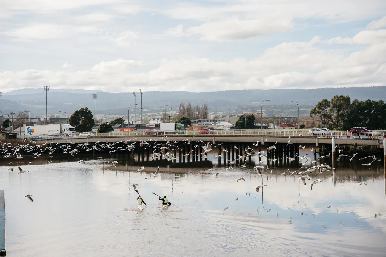 Kayaking in Launceston