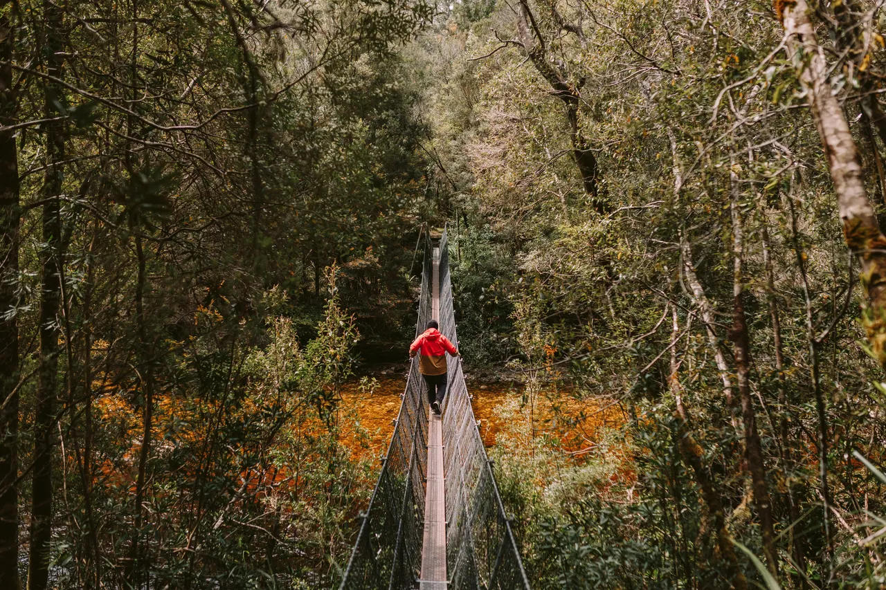 Frenchmans Cap Suspension Bridge