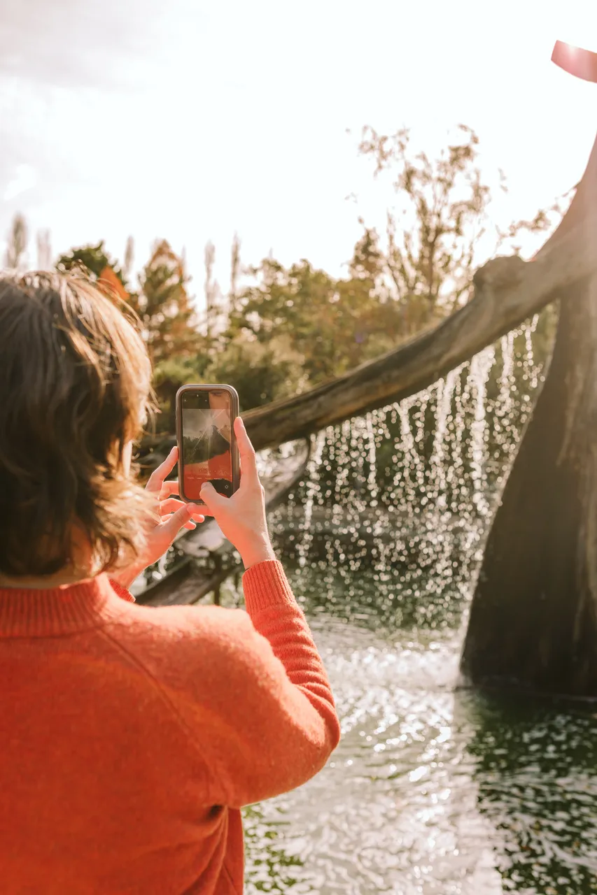 Taking Photos at the Royal Tasmanian Botanical Gardens