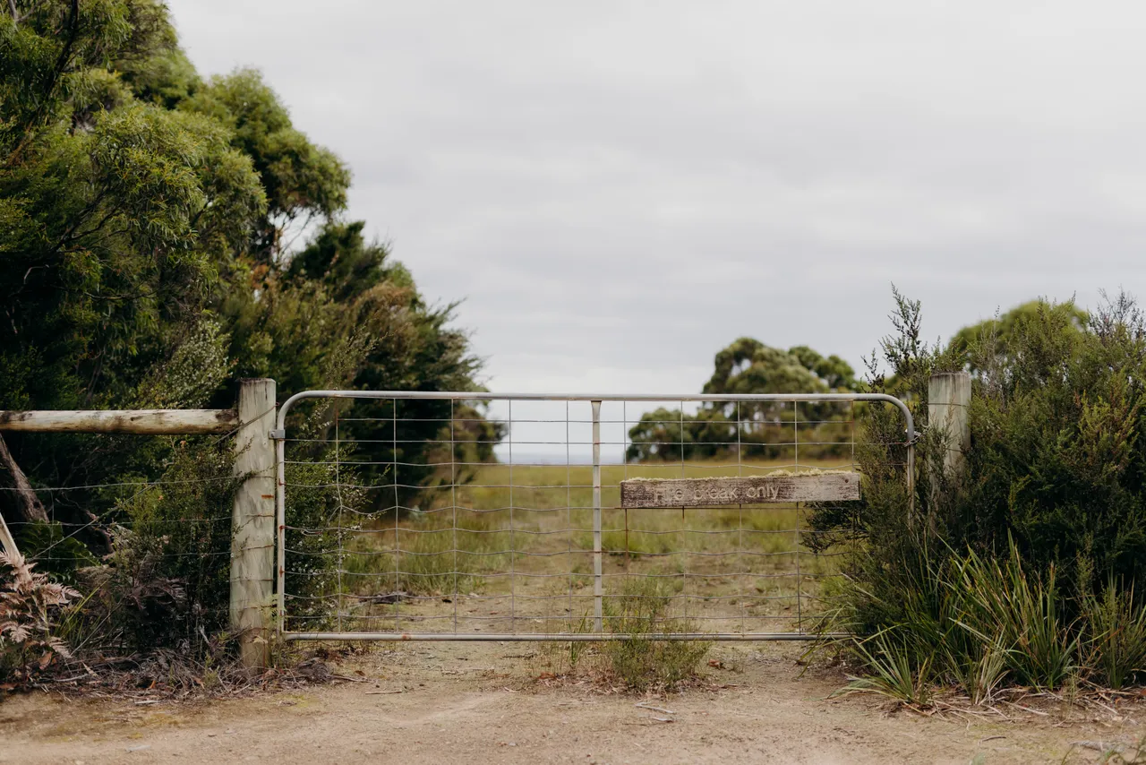 Metal Gate