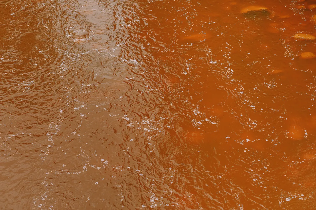 Queen River Queenstown