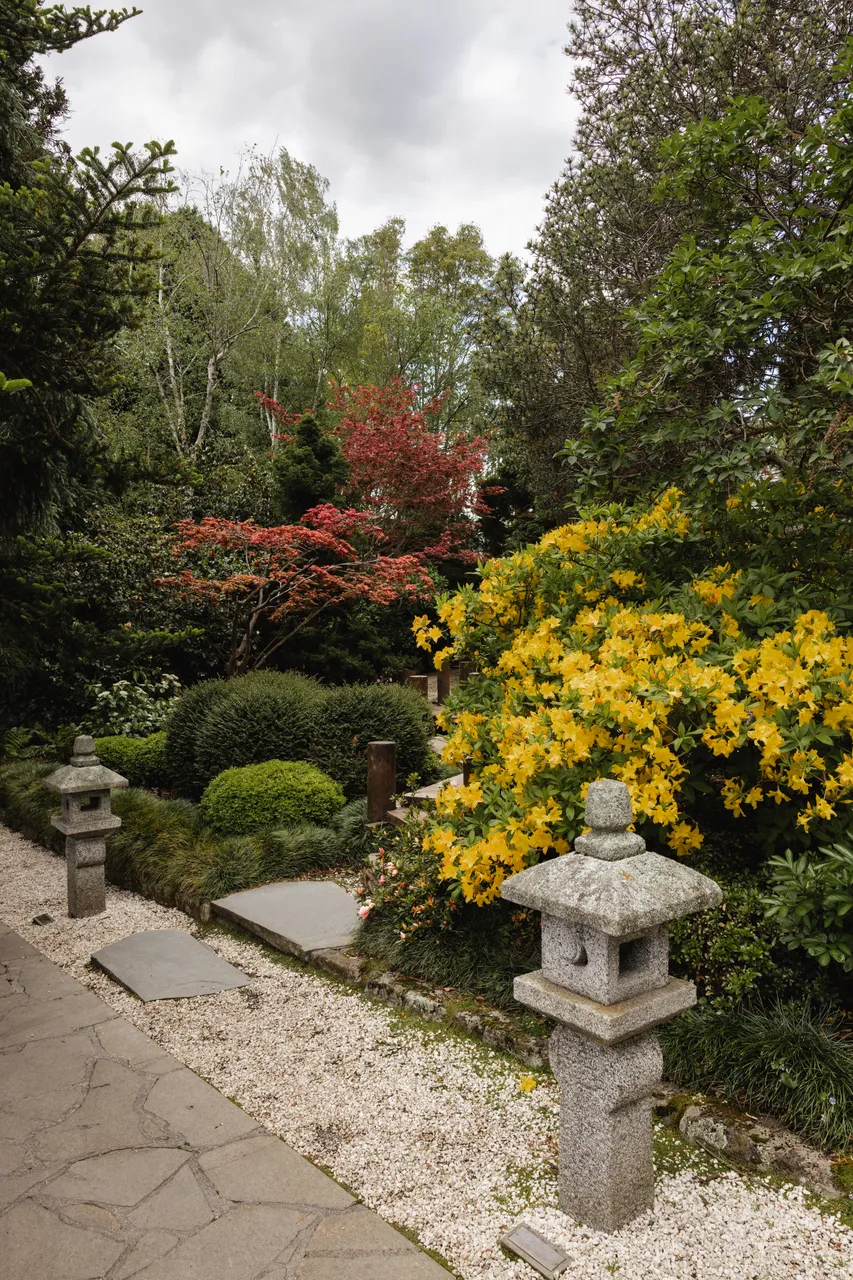 Japanese Garden at the Royal Tasmanian Botanical Gardens
