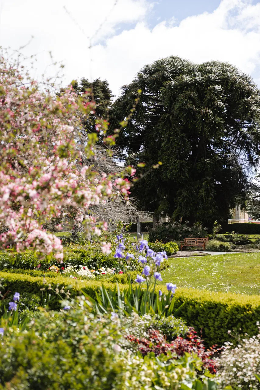  University Rose Gardens