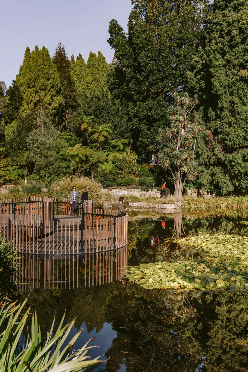 Pond at the Royal Tasmanian Botanical Gardens